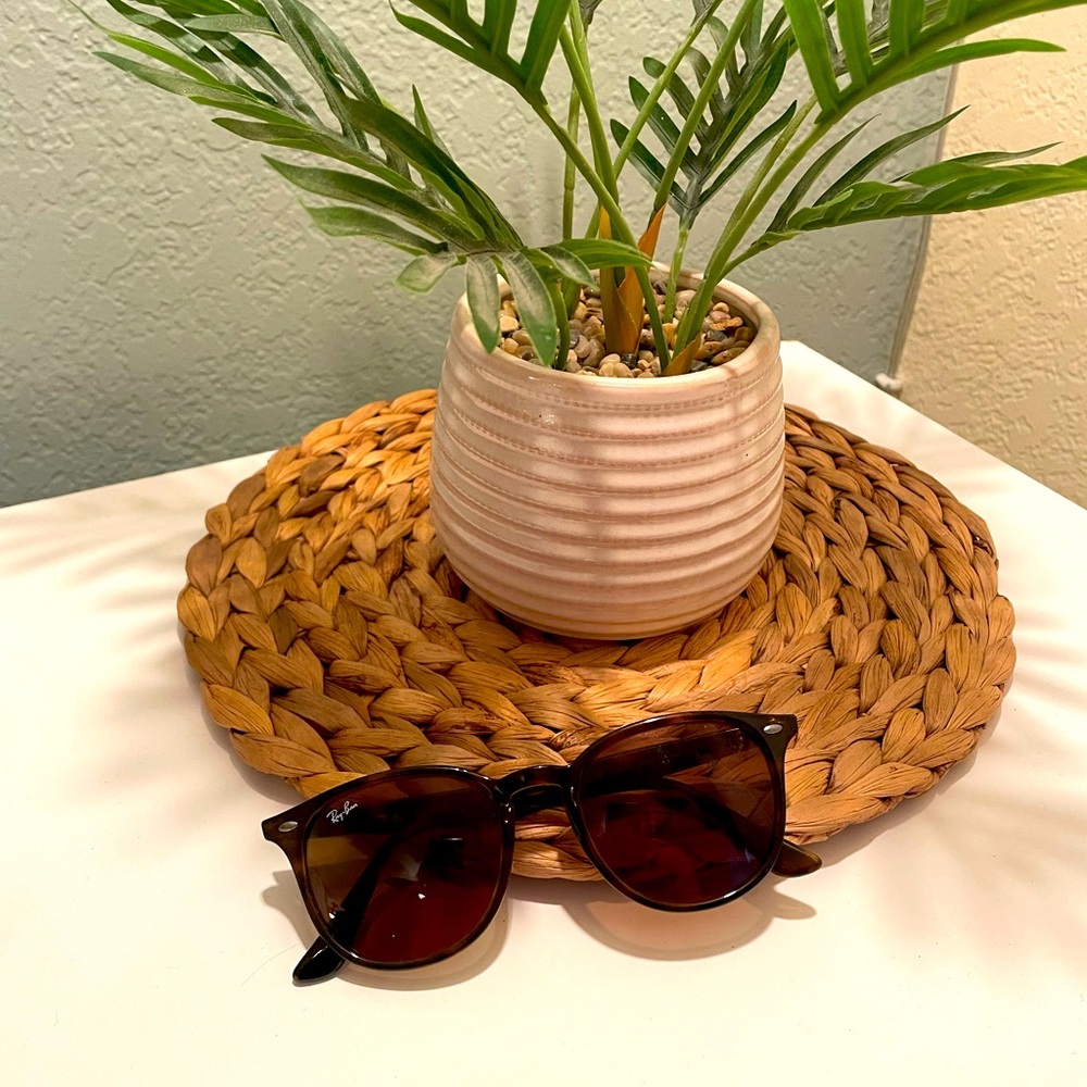Polarized Ray-Ban Sunglasses, Tortiseshell, Unisex, Model # RB4259, $60